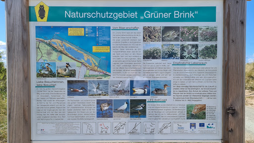 Naturschutzgebiet Grüner Brink 1,5km entfernt