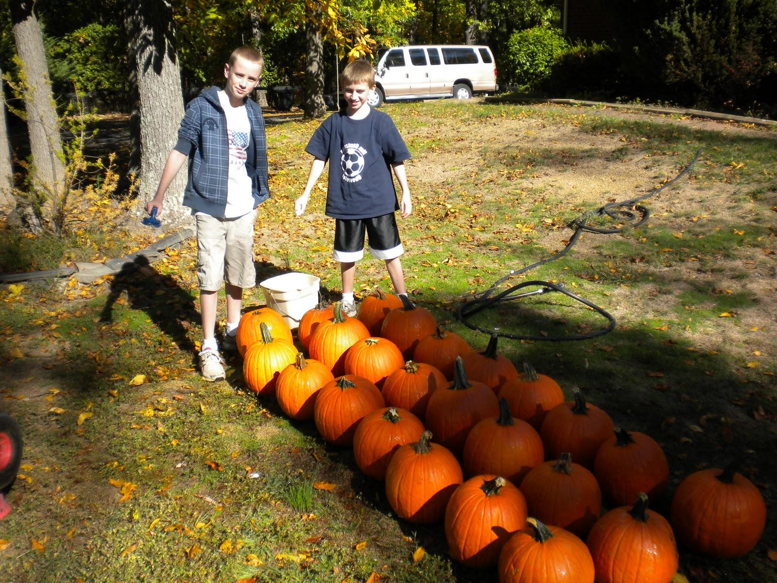 pumpkin wedding centerpieces, pumpkin wedding centerpieces