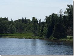 Cape George and Marble Mountain - Bras d'Or 2015-08-15 009