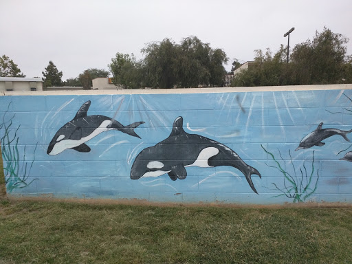 Orca Mural