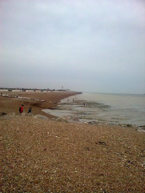 Image0302 Shingle beach near Sea View cafe, Goring