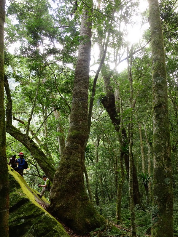 2014_0101-0105 萬山神石、萬山岩雕順訪萬頭蘭山_0569