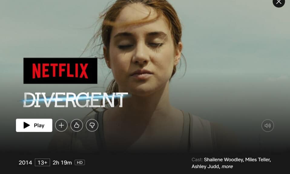 È divergente su Netflix