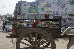 Daily life in Sharqpur