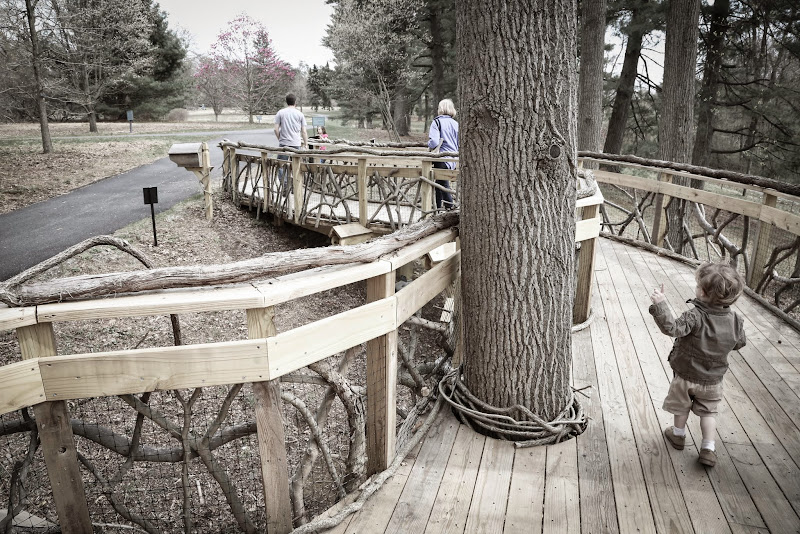 branch railing on a long deck