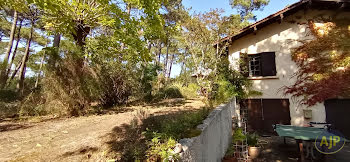 maison à Lege-cap-ferret (33)