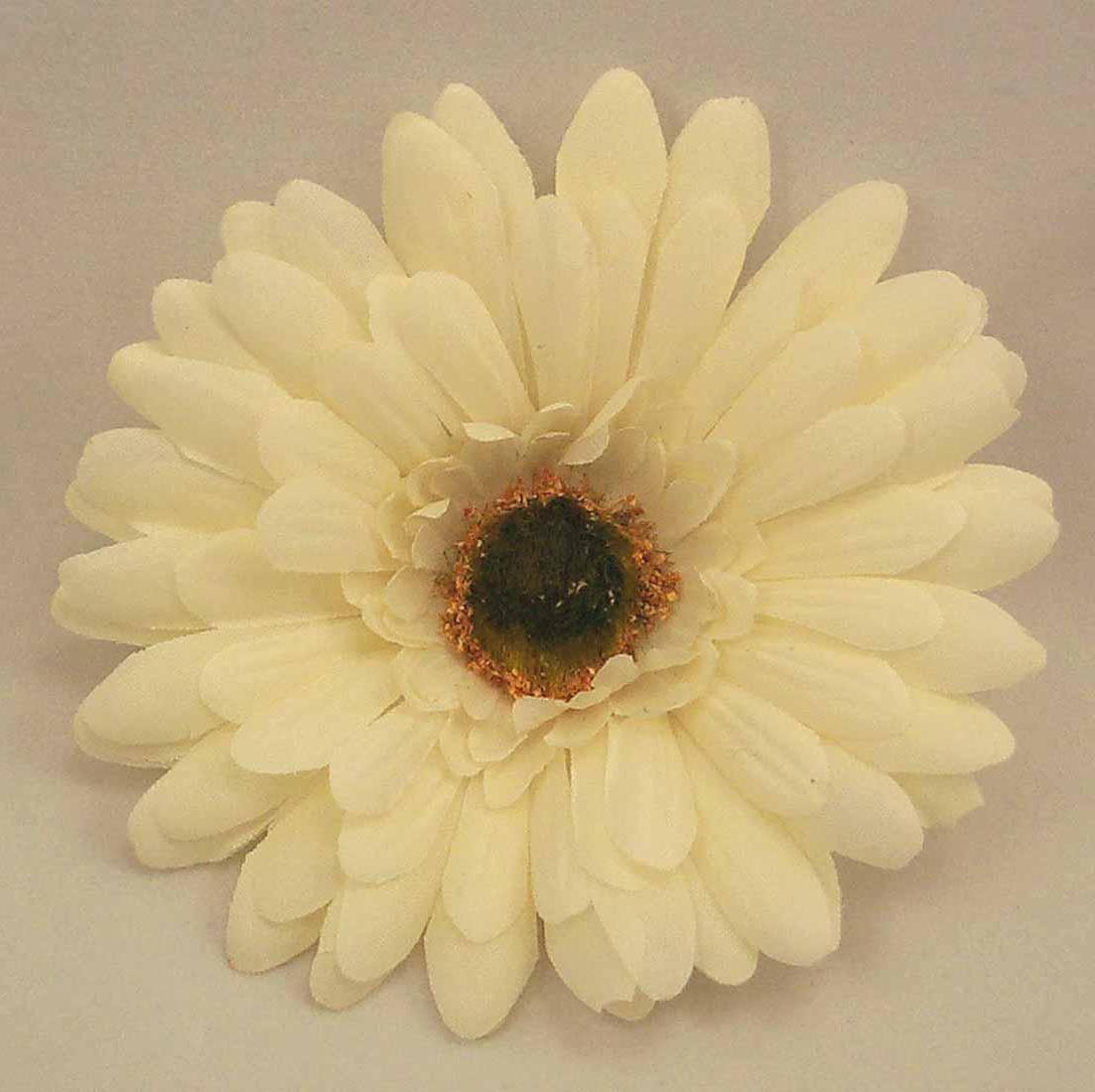 6 Silk Cream Gerbera