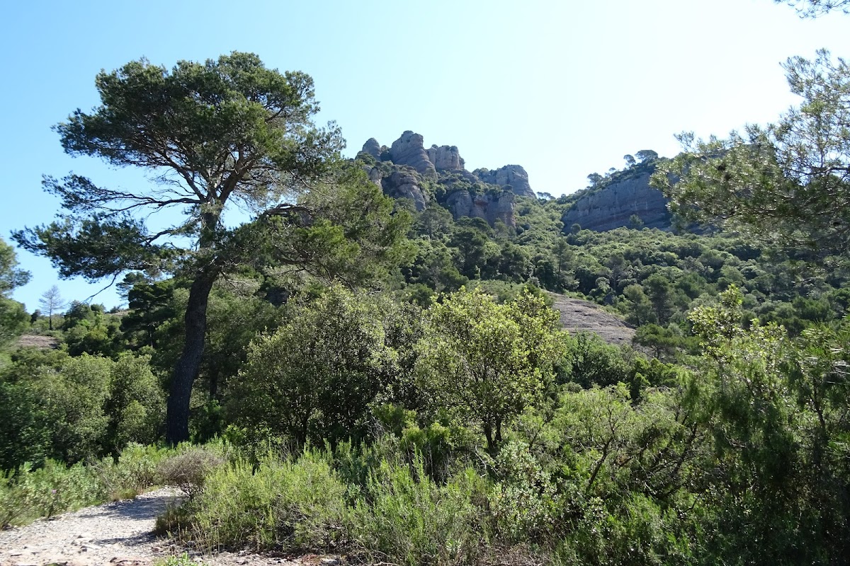 DSC03100.JPG
