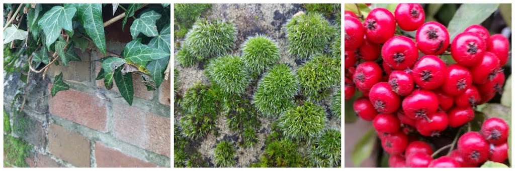 Little vegetation. From The Thames River Vally Close-Up