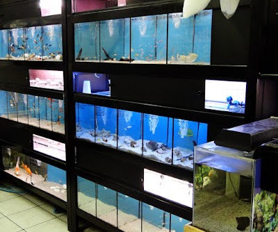 Photos of Atl&acirc;ntida Aqu&aacute;rios