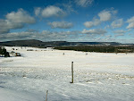 Snowscape at Whitegrass Cross Country Ski Area, near Davis, West Virginia.