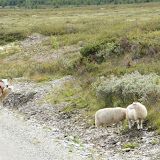 Langs de Peer Gyntweg