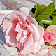 Download Pink Rose Wallpaper For PC Windows and Mac 1.1