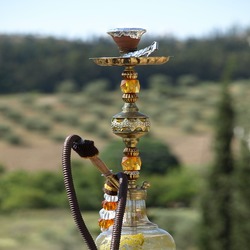 Queen Cafe Hookah logo