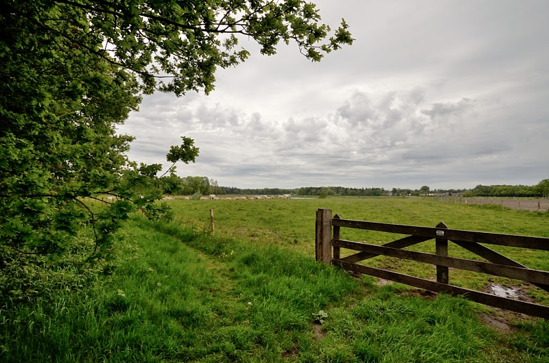 Zondag middag wandeling. DSC_6868_01