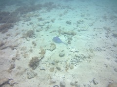 20170104_173749A