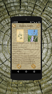 Wicca Herbarium - náhled