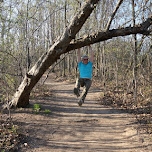 dundas peak in Dundas, Canada 