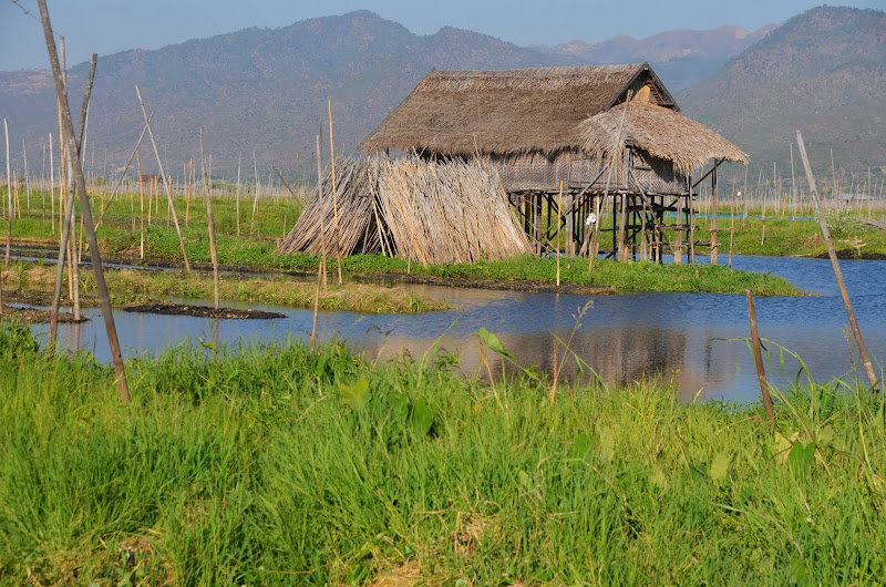 inle