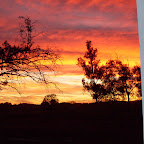 Warriedar Shearers Quarters May 2012