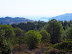 view from track above Kalathos