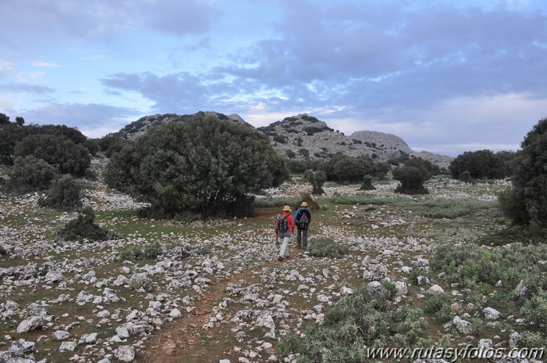 Palo-Tunio-Zahibe