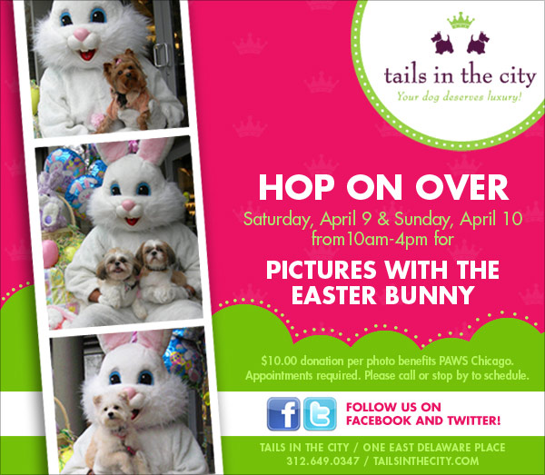 Tails in the City Events: Easter Bunny Photos At Tails in the City ...