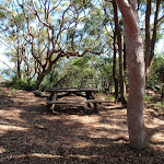 Picnic table (221111)