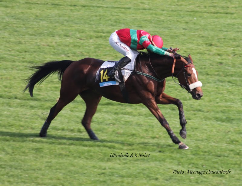 Photos Auteuil 11-10-2015 IMG_5252