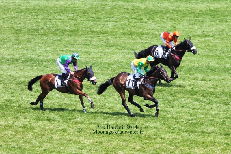 Photos Auteuil 8-06-2014  IMG_1705