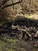 Various items used as stepping stones across the more muddy areas