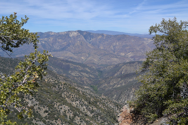 wide drainage with spots of trees at the very bottom