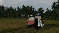 Meski Ramadhan Penyuluh Kab. Luwu Timur Setia Dampingi Petani ditengah wabah Pandemi Covid-19