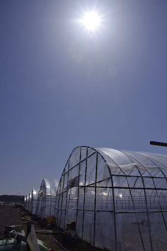 写真：大地に降り注ぐ輝く陽光