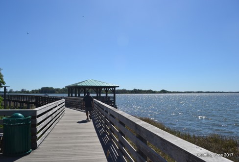 Along the shoreline