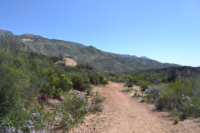 easy walking along Sespe River Trail