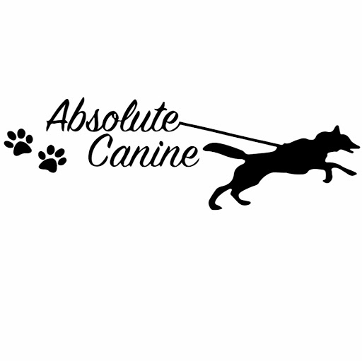 Absolute Canine logo