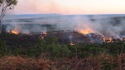 Controlled Burning at night 001