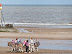 Mablethorpe donkeys