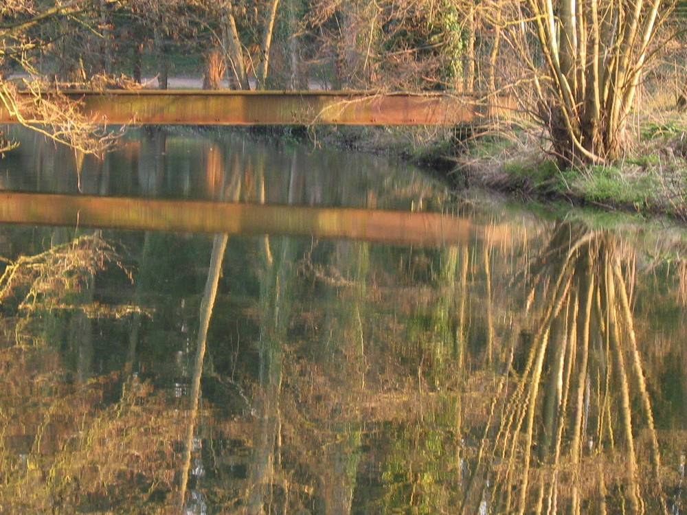 reflection 2
