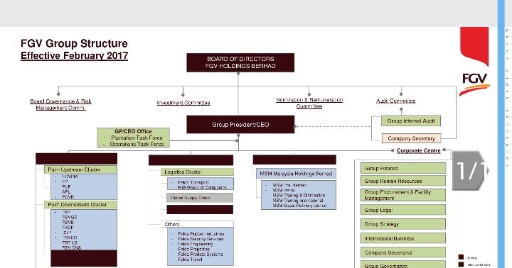 Fgv Organization Chart