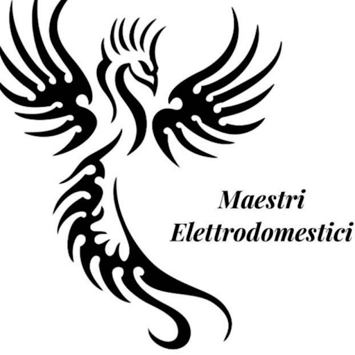 Maestri Elettrodomestici logo