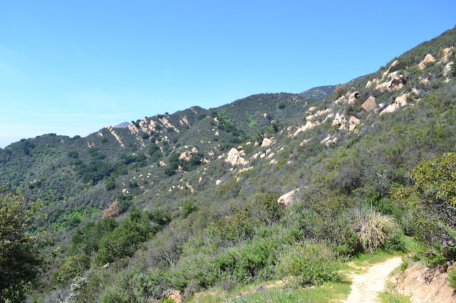 a small drainage above Montecito