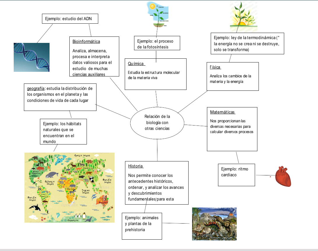 Biologia 3a Mapa Mental Relación De La Biología Con Otras Ciencias