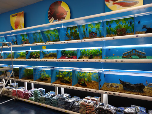 Pet Supply Store «Pet Supermarket», reviews and photos, 2585 N Atlantic Ave, Daytona Beach, FL 32118, USA