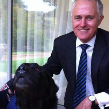 Malcolm Turnbull Awesome Dp Images