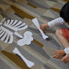 Learning The Human Skeleton for Preschoolers