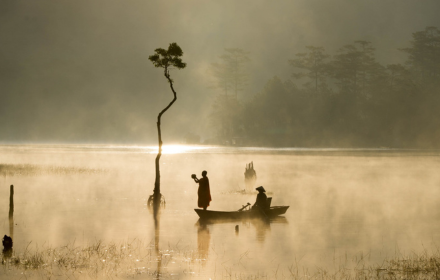 Rowing on the lake small promo image