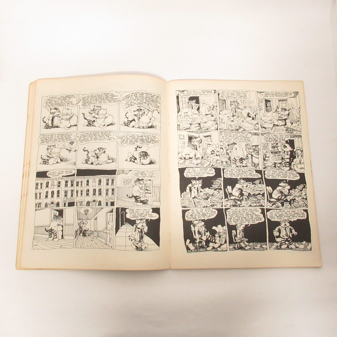 R. Crumb's Comic Books Set of 2