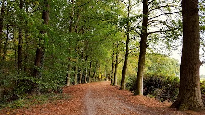 Photos of Smalenbroek